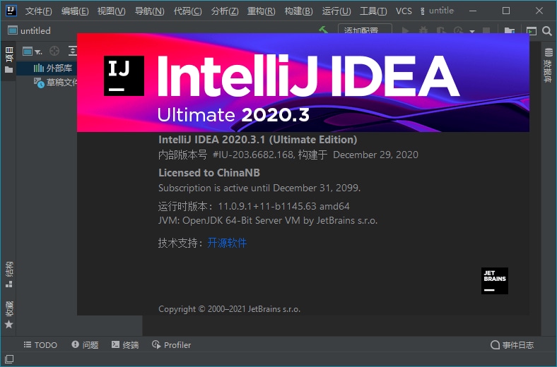 IntelliJ IDEA 2020.3.3 Ultimate 永久旗舰版 (图1)