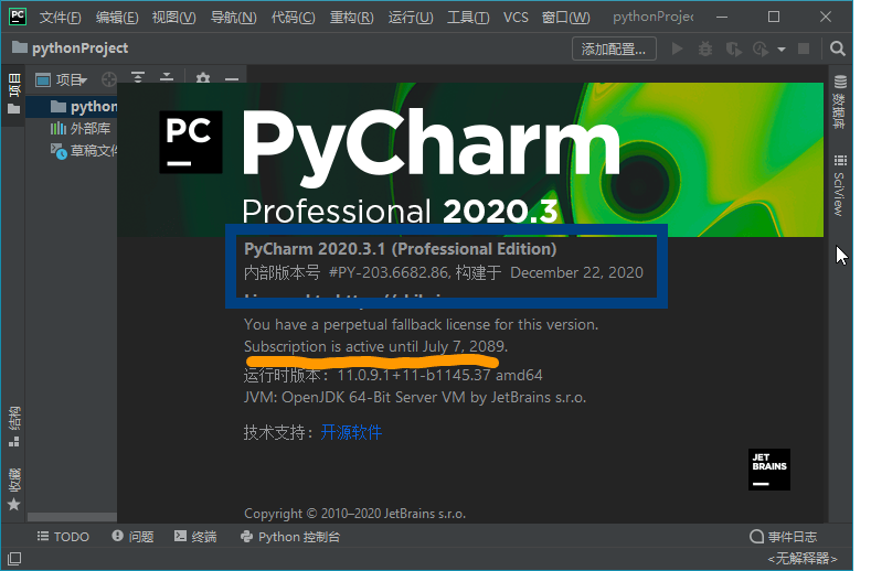 JetBrains PyCharm 2020.3.5 Professional (图2)