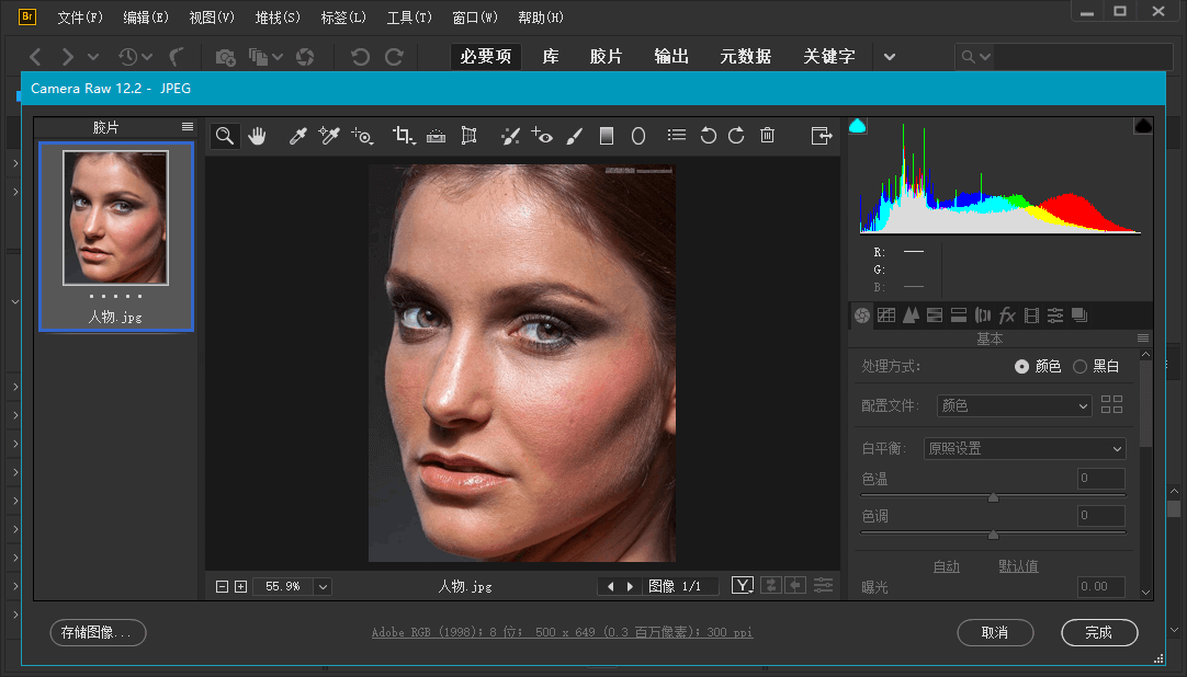 Adobe Bridge 2021 (11.1.1.185.0) Repack(图2)